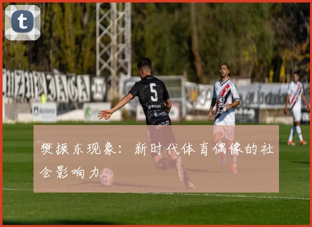 樊振东现象：新时代体育偶像的社会影响力