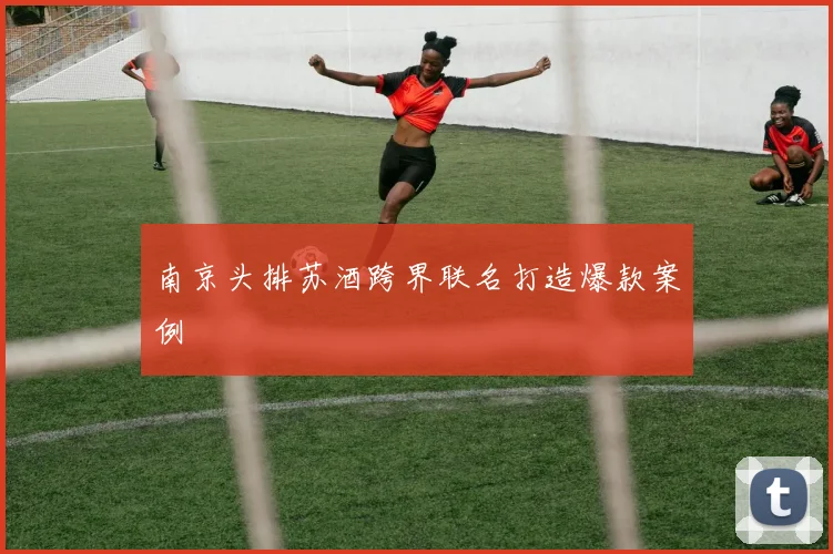 南京头排苏酒跨界联名打造爆款案例