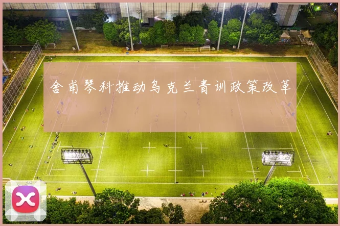 舍甫琴科推动乌克兰青训政策改革