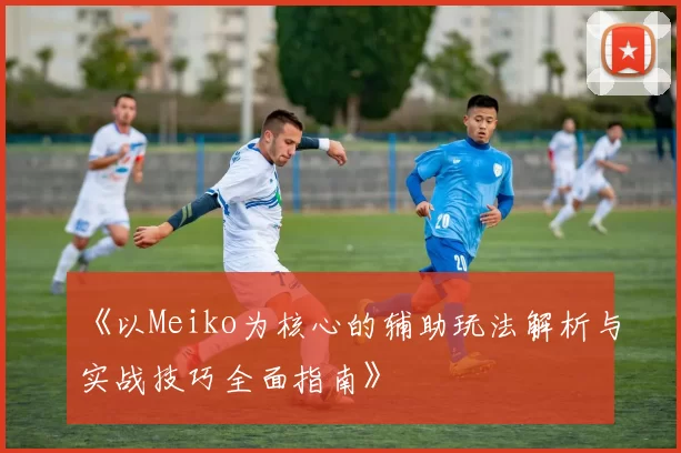 《以Meiko为核心的辅助玩法解析与实战技巧全面指南》