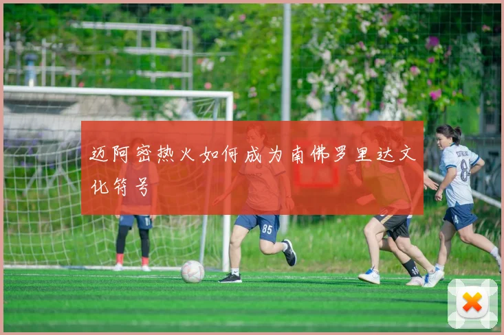 迈阿密热火如何成为南佛罗里达文化符号