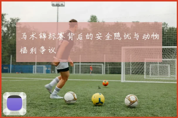 马术锦标赛背后的安全隐忧与动物福利争议