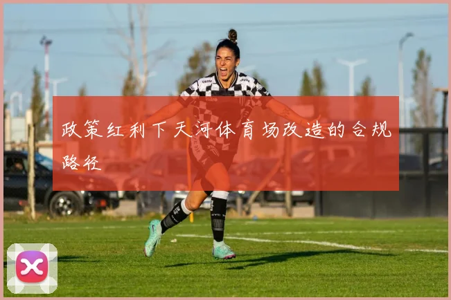政策红利下天河体育场改造的合规路径