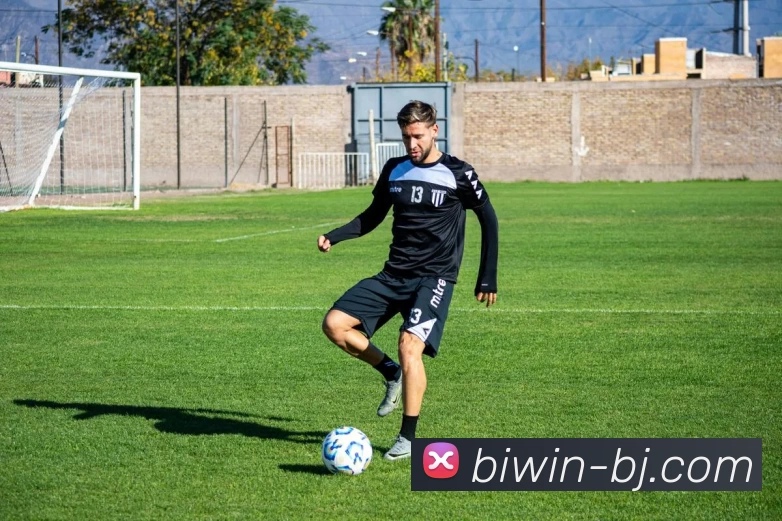 必赢官网平台生态图